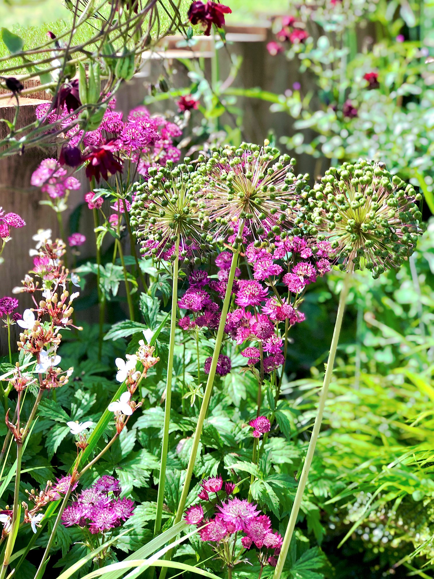 Garden landscaping renovation design
