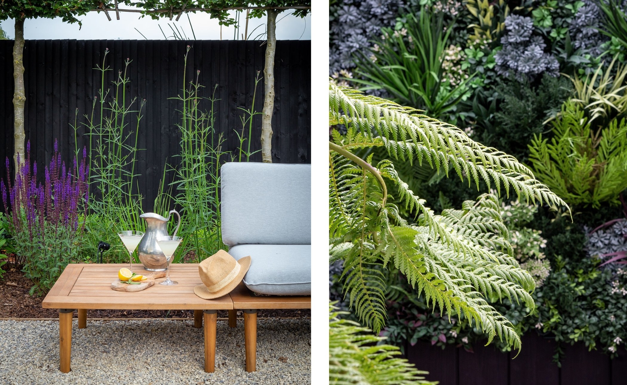 Modern garden planting design