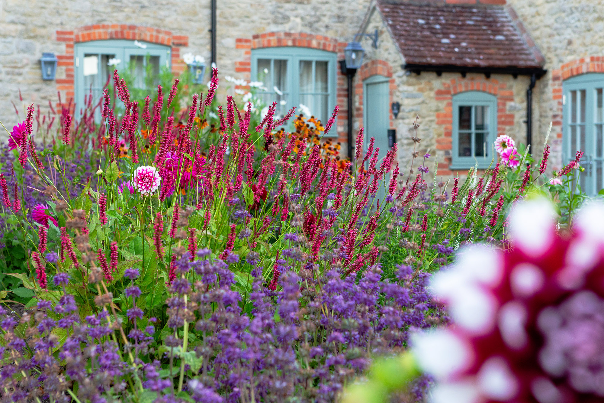 Vibrant deep flower bed planting to english cottage garden