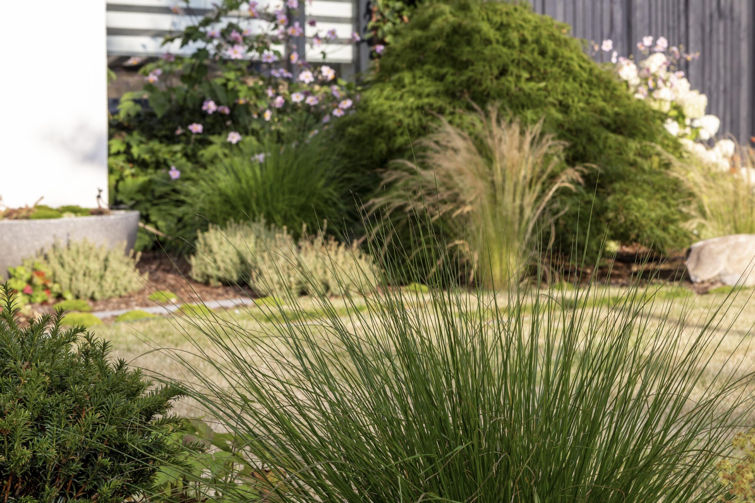 Beautiful green planting design garden and landscaping bucks family home