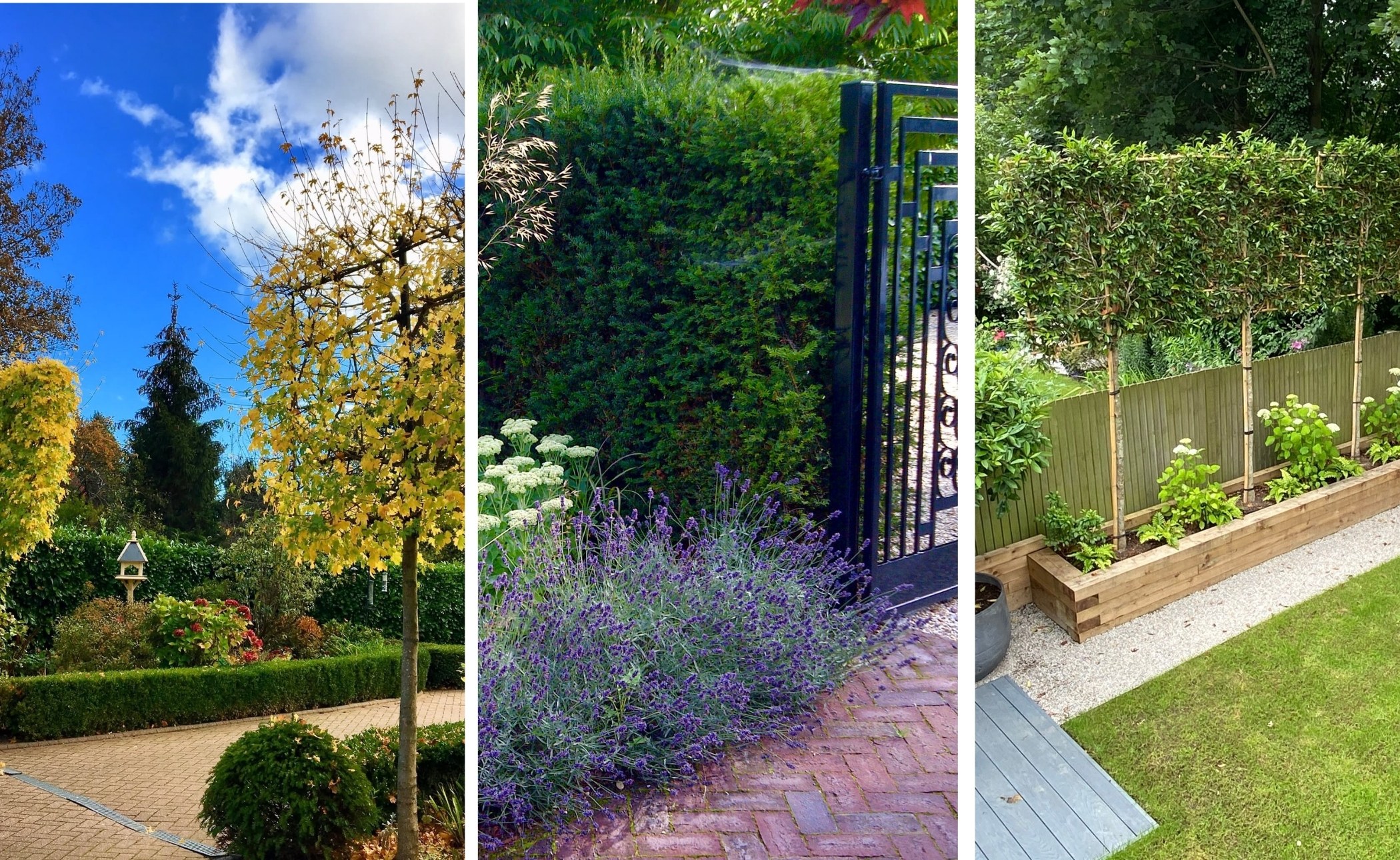 Formal garden designers