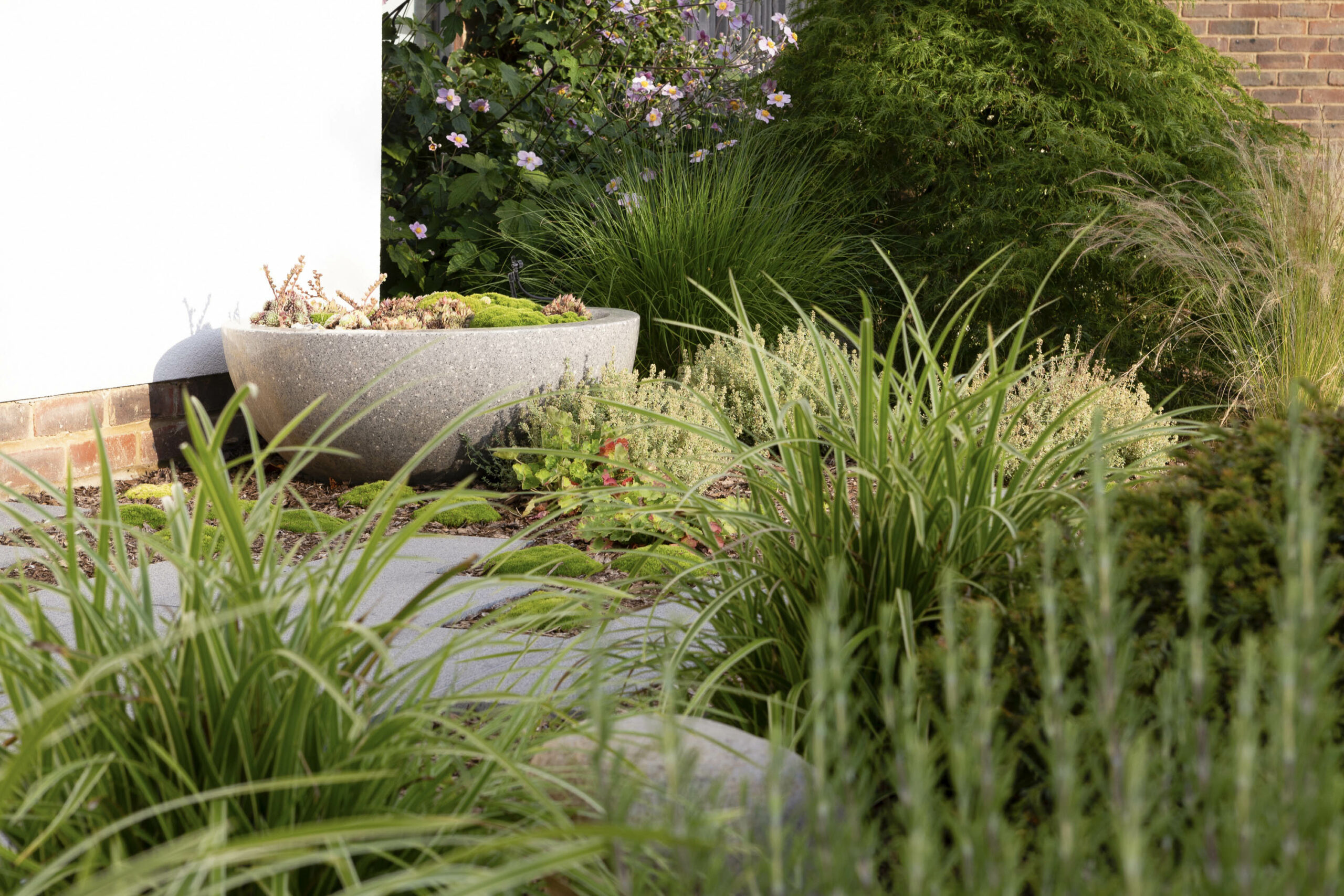 Japanese green planting garden design family home