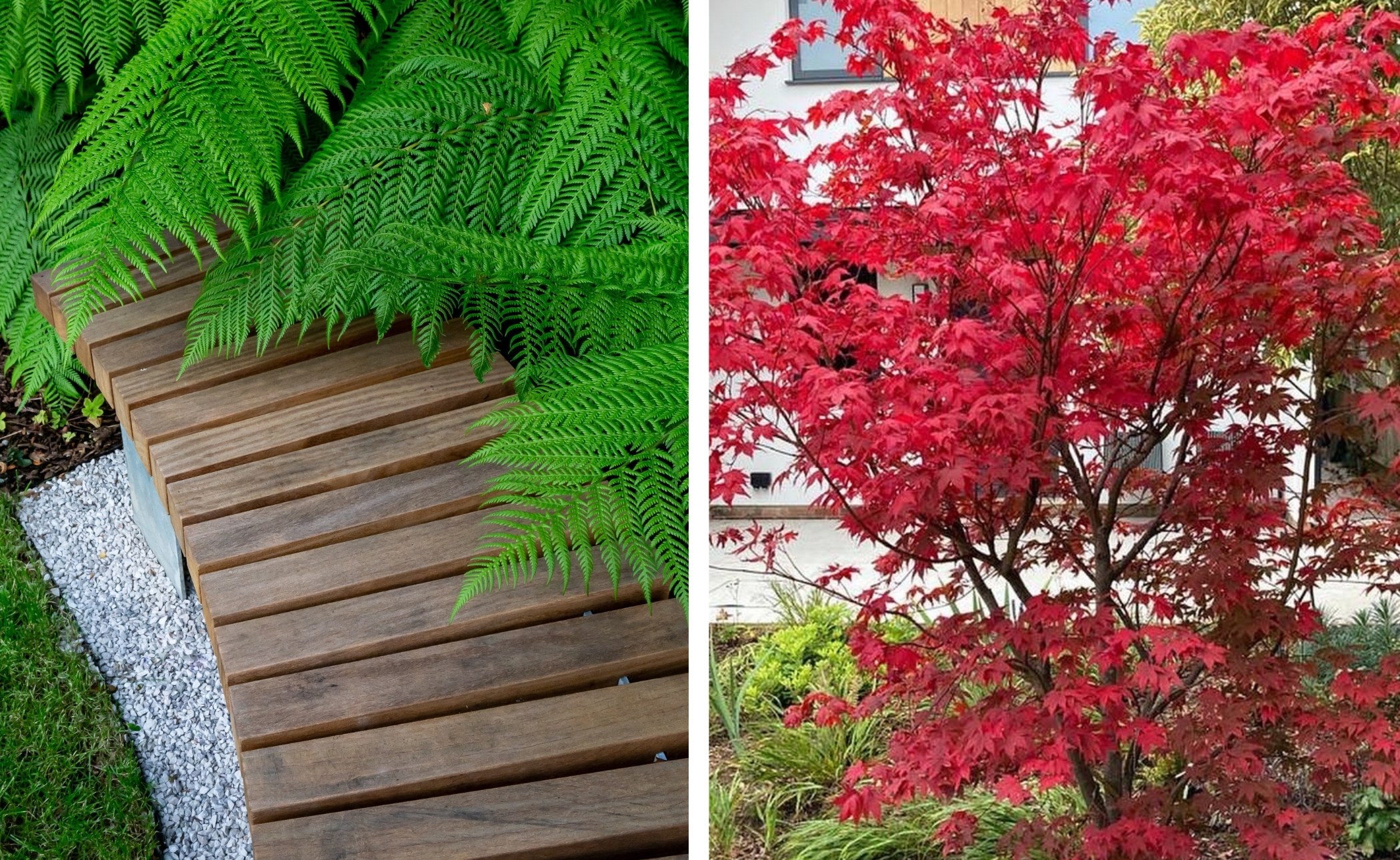 Japanese style garden design