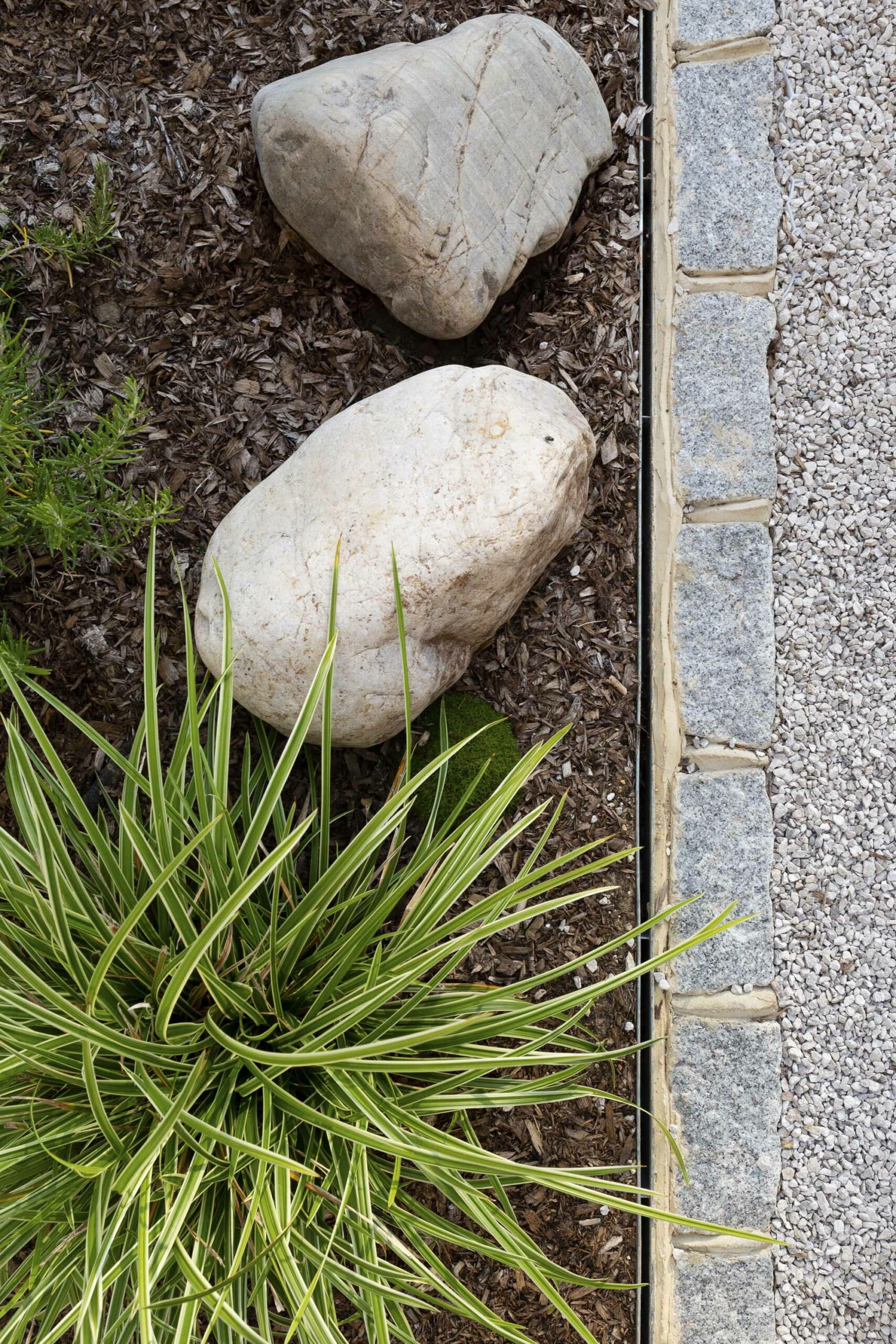 Japanese green planting garden design family home