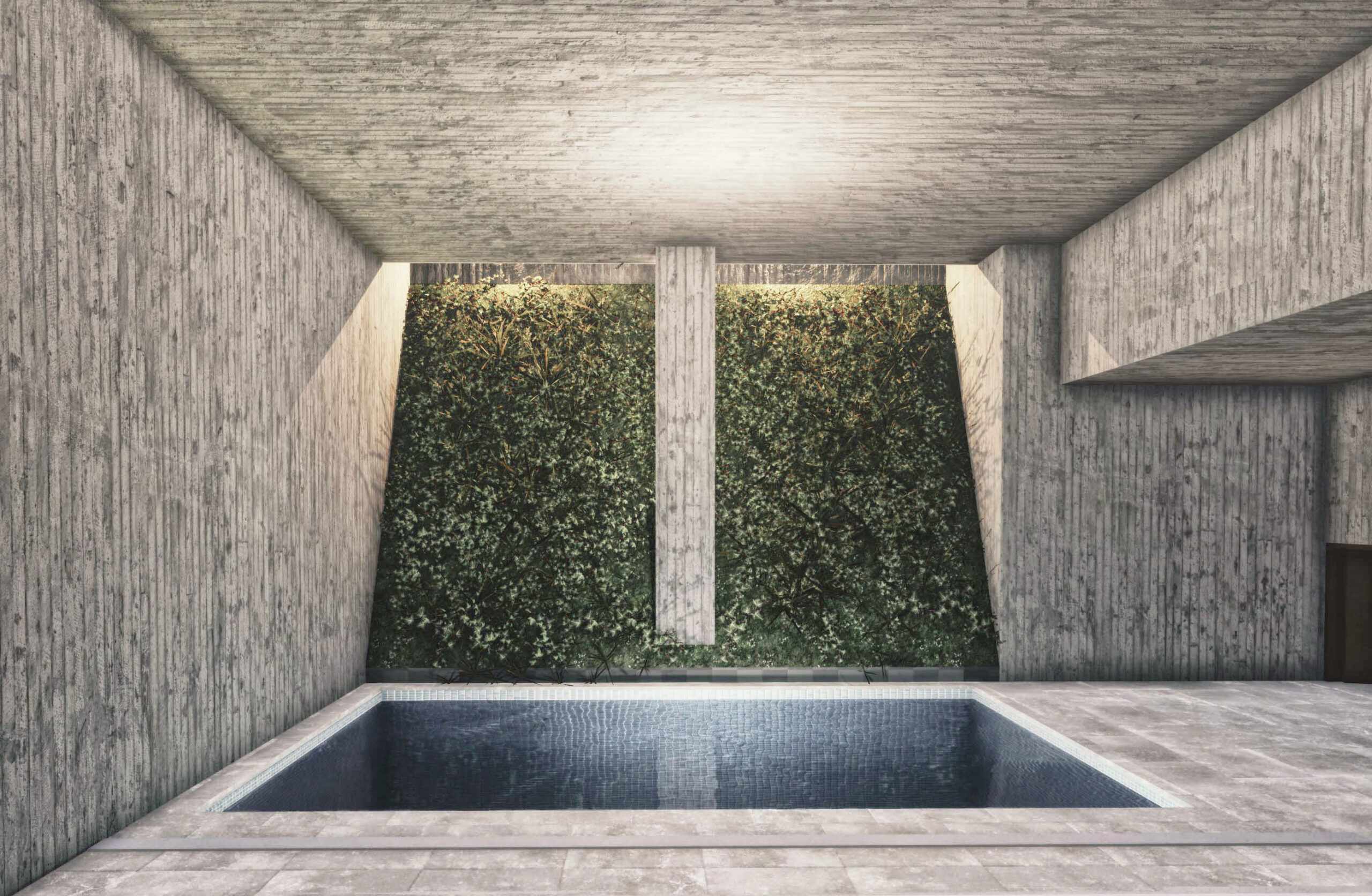 New build home sunken basement luxury spa pool