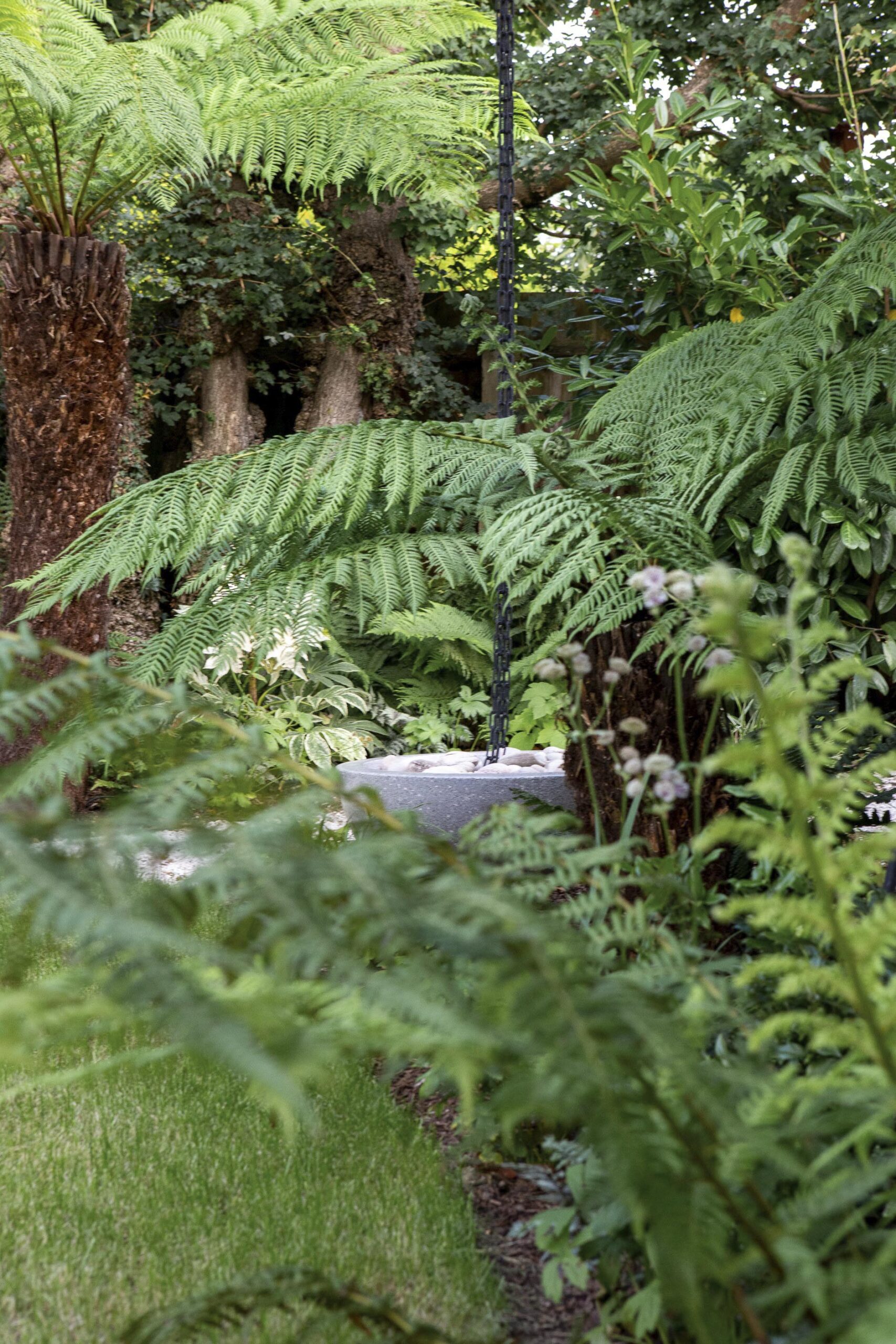 Minimal green garden designers