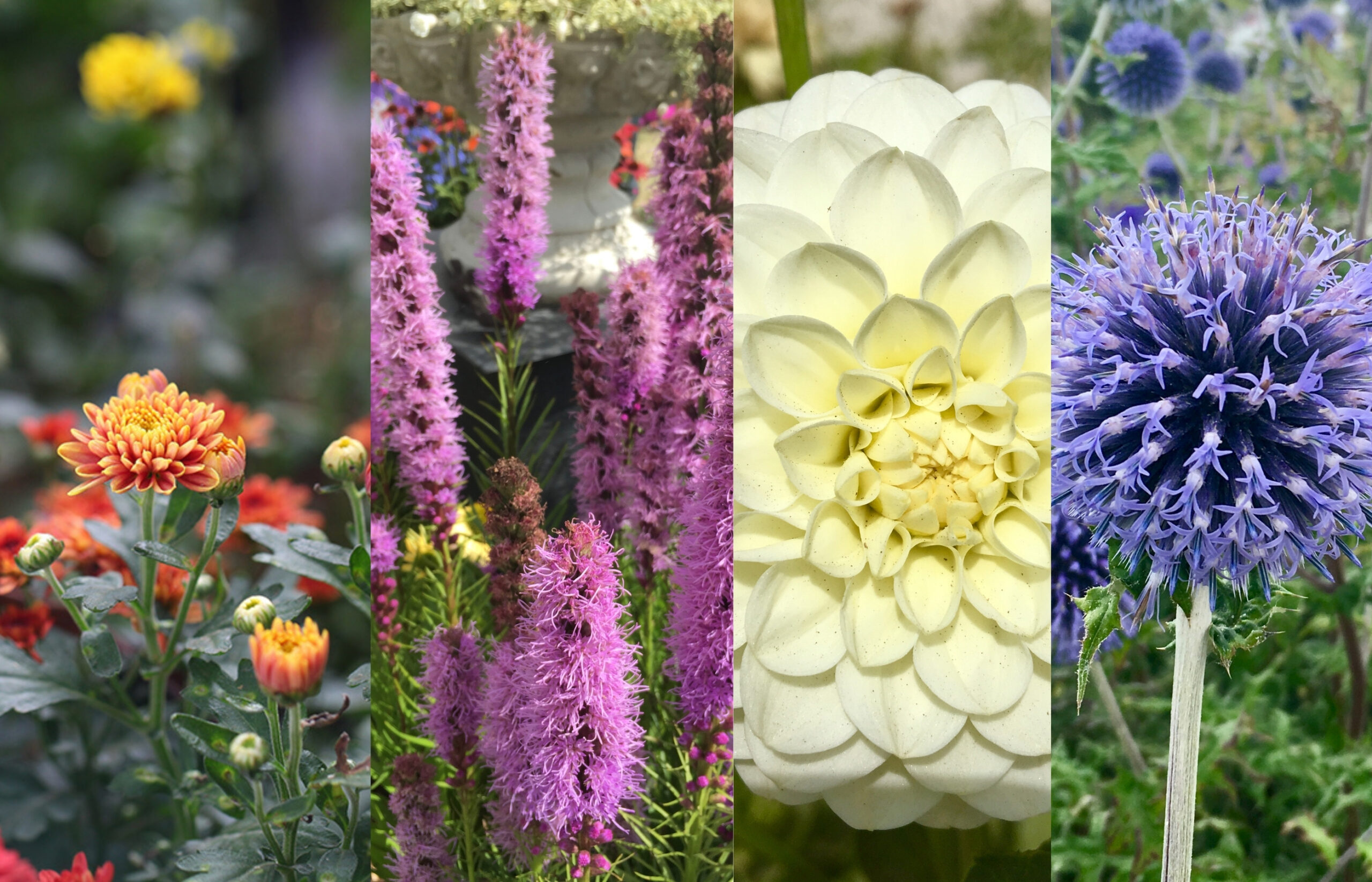 Your 2020 Landscaping Calendar HollandGreen