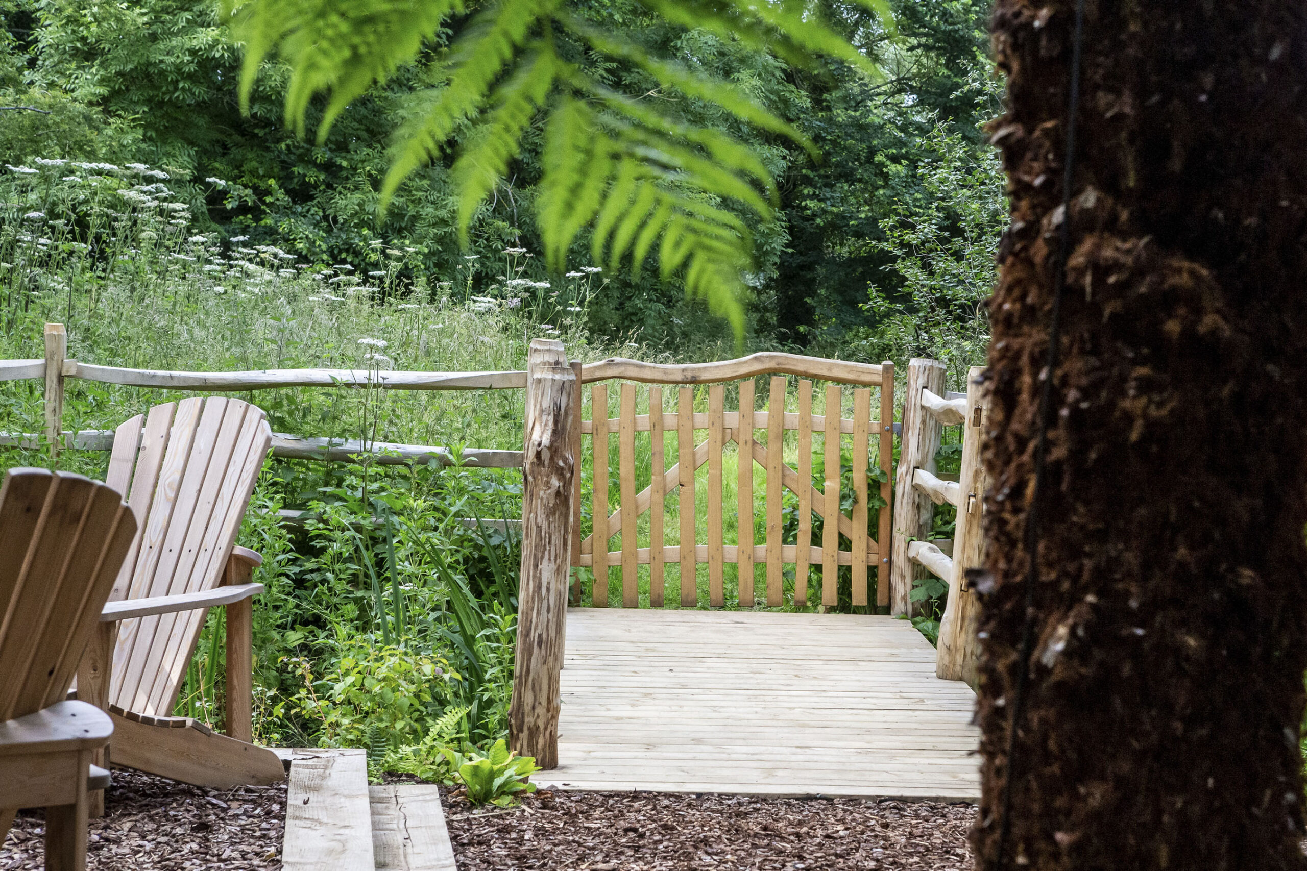 Woodland residential garden designers