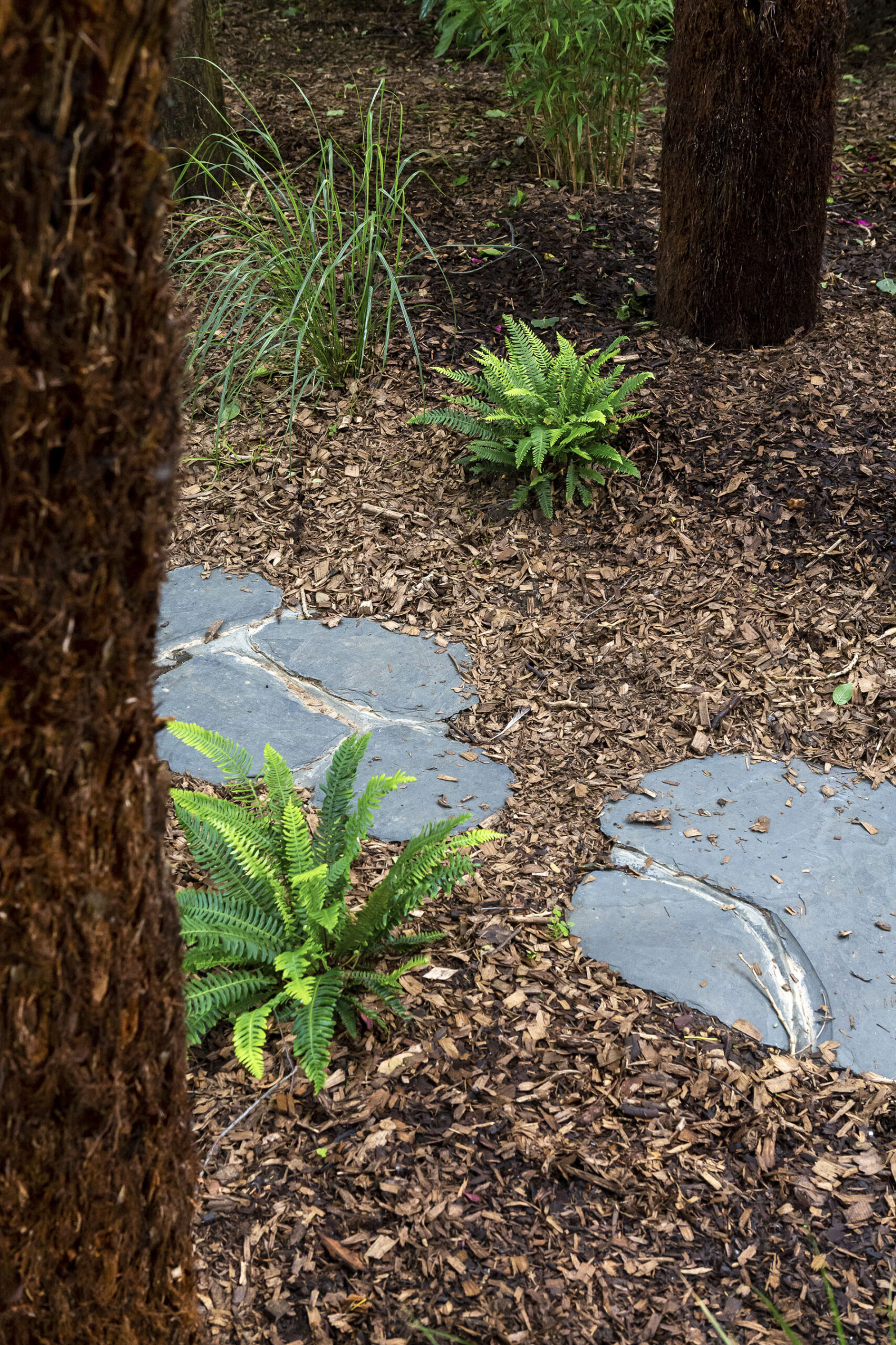 Green woodland planting stepping stone luxury garden design
