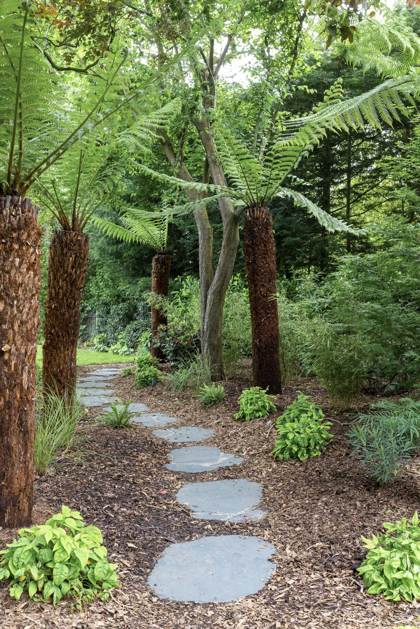 Green woodland planting garden design
