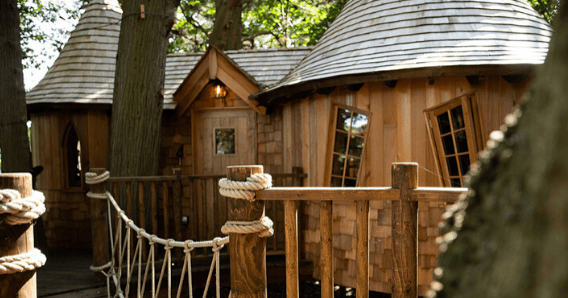 Residential home Treehouse design
