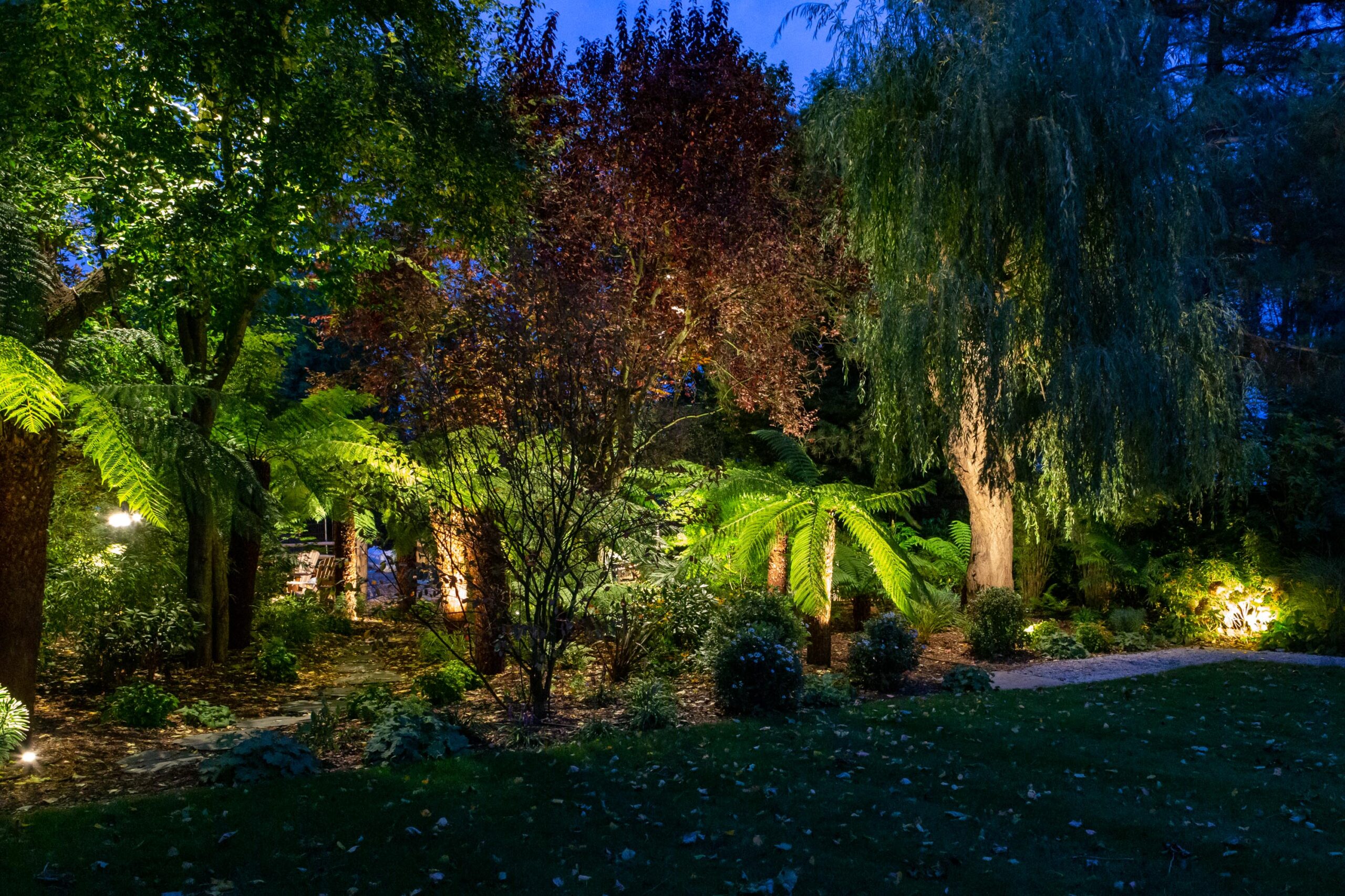 Uplighting for beautiful garden design at night