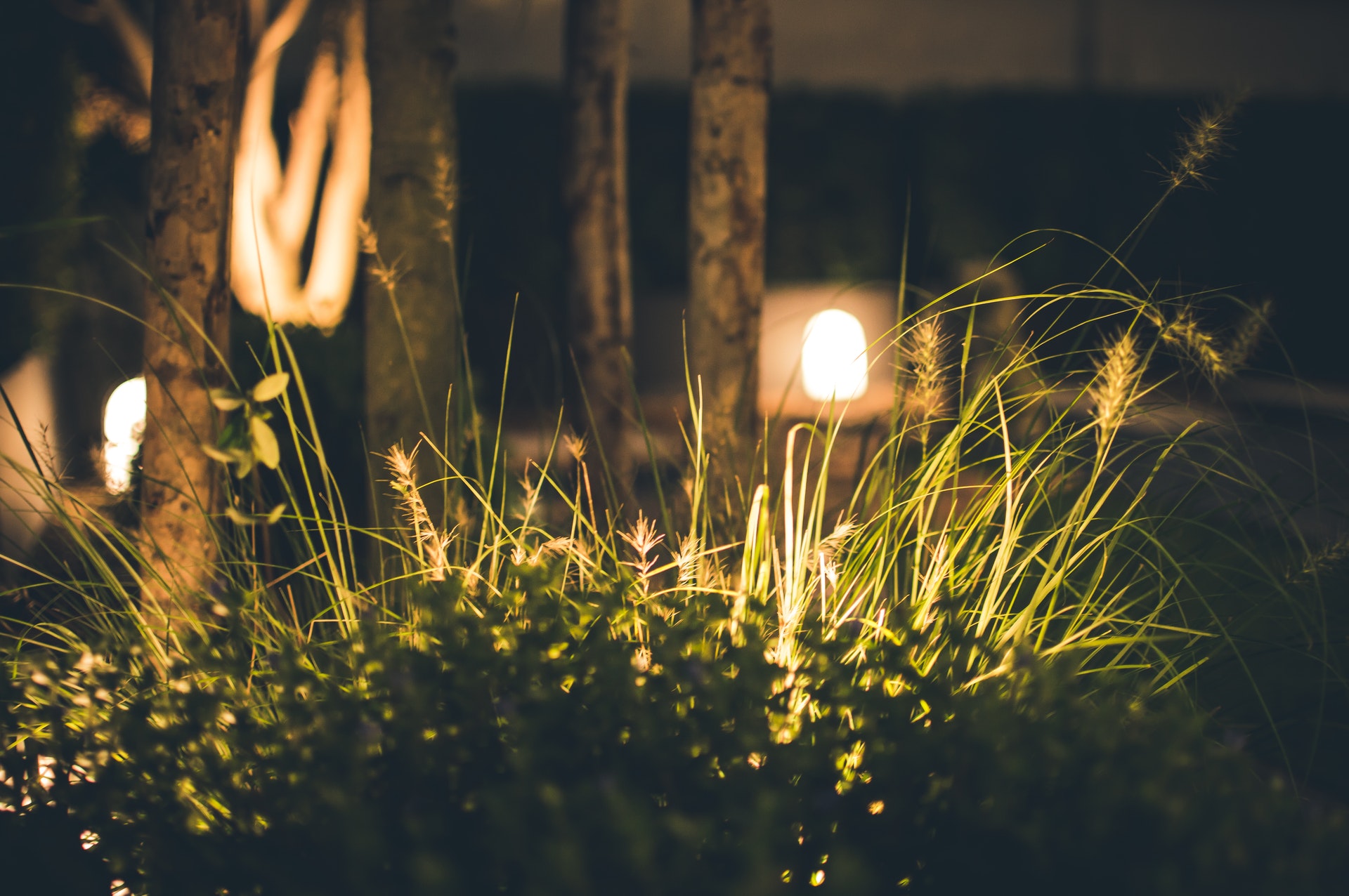 Uplighting for garden design at night