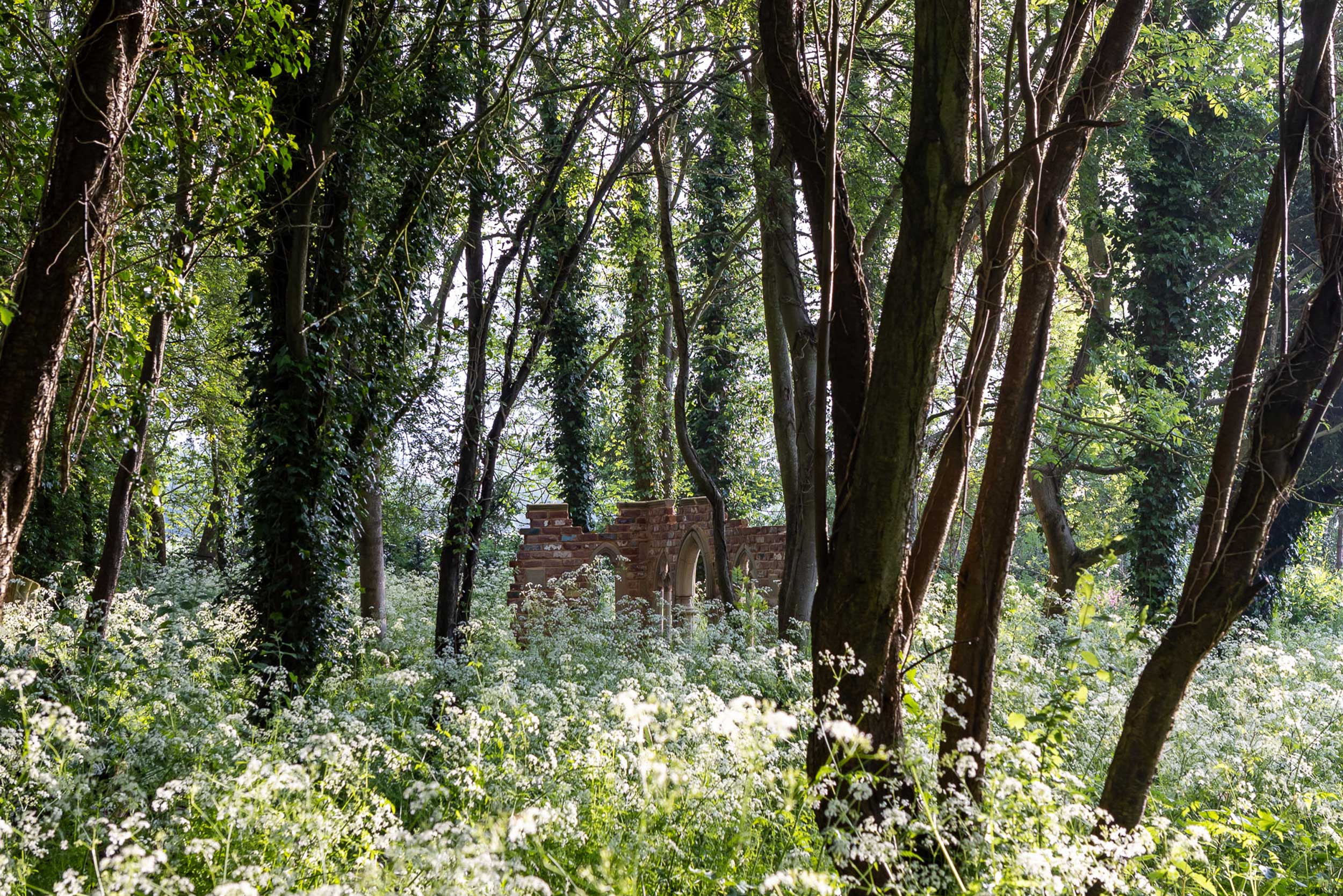 Meadow View Garden Spring Time ©EllieWalpole-LR-99