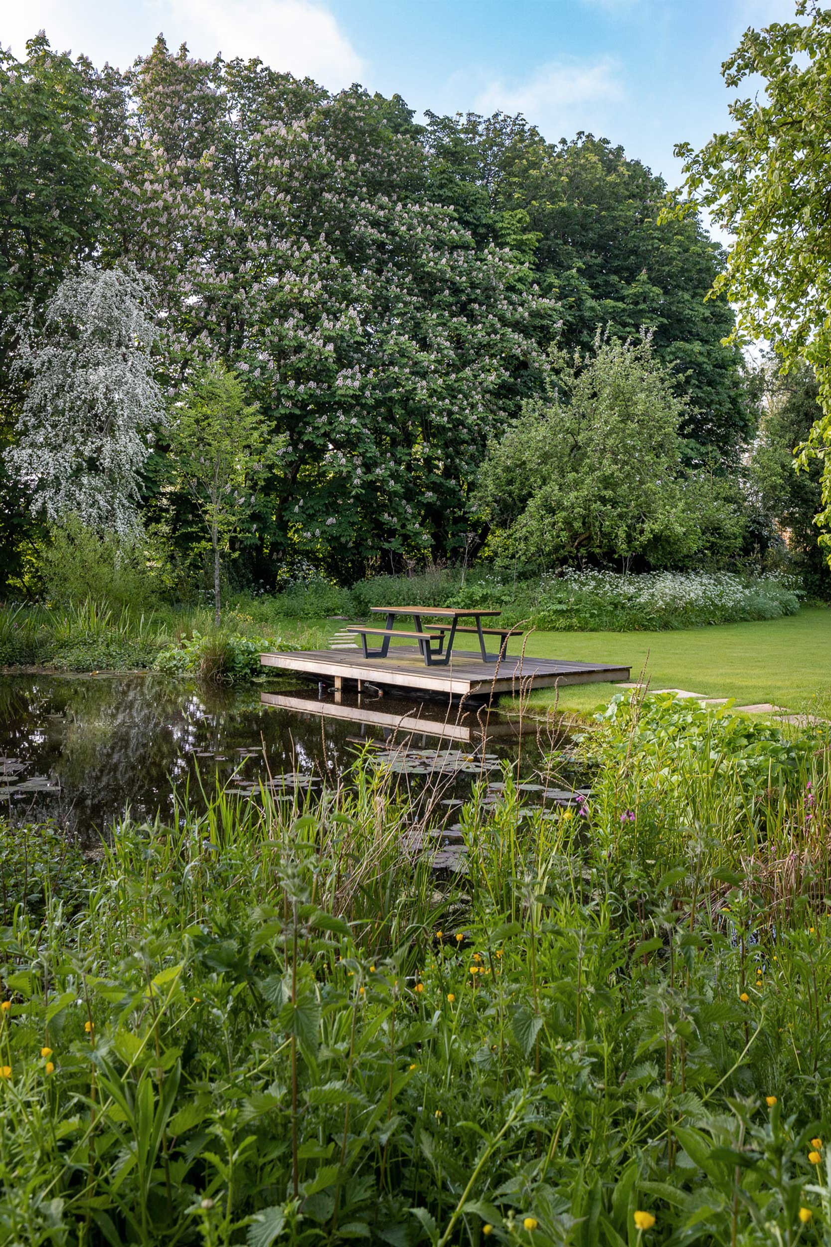 Meadow View Wildlife Garden